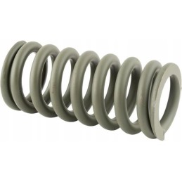 Steering axle spring c 4011 26900050436080