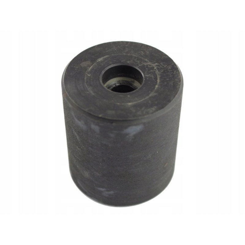 Bizon tensioner pulley 5083020250 5083 02 025 0