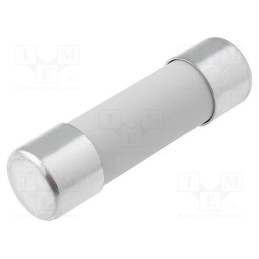 1 pcs x DF ELECTRIC - 421010 - Fuse: fuse, gG, 10A, 690VAC, ceramic,cylindrical,industrial