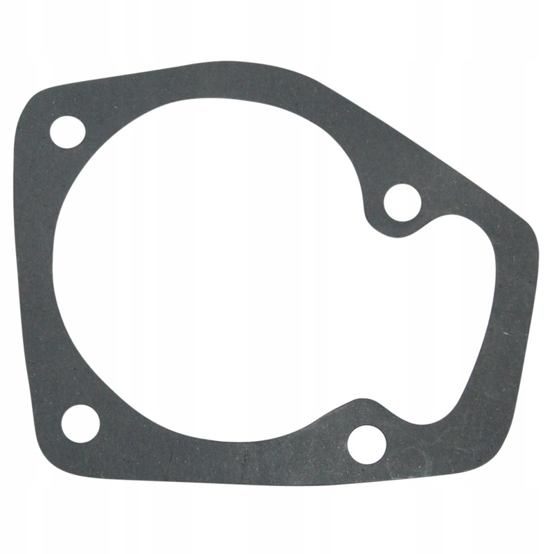 Water pump gasket c 385 80017012