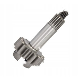 Gear wheel with drive shaft of the lift pump for c