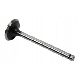 Intake valve for Zetor tractor engine 69010555