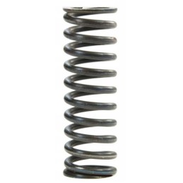 Clutch pressure spring Wladimirec T 25 T25