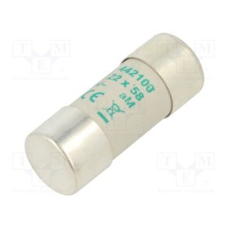 1 pcs x DF ELECTRIC - 442100 - Fuse: fuse, aM, 100A, 500VAC, ceramic,cylindrical,industrial