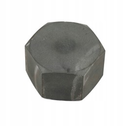 Zetor shaft nut 55010310 original