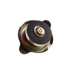 Radiator cap c 360 50413610