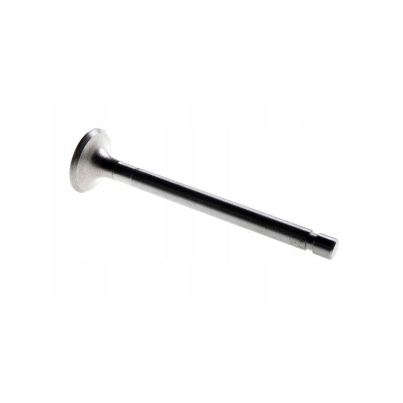 Exhaust valve c 360 50505061