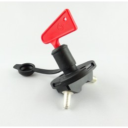 Spare key for the current mass switch, diameter 9mm