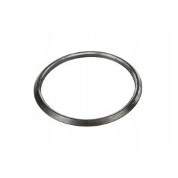 010975 sealing ring 58 x 4