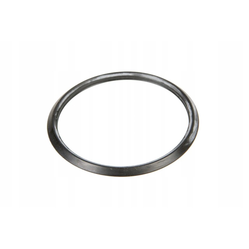 010975 sealing ring 58 x 4
