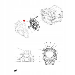 Massey Ferguson vibration damper 4312901m5 original