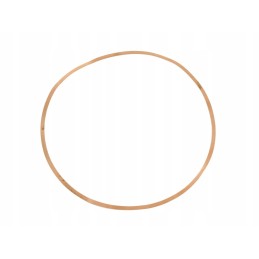 Engine liner washer c 385 80002002