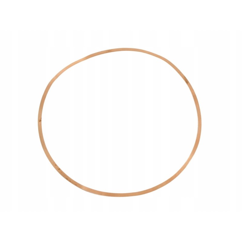 Engine liner washer c 385 80002002