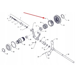 P5m37301107 gear wheel with 31