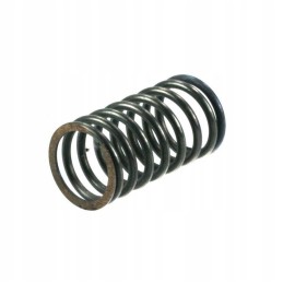 External valve spring ursus c330 50001091