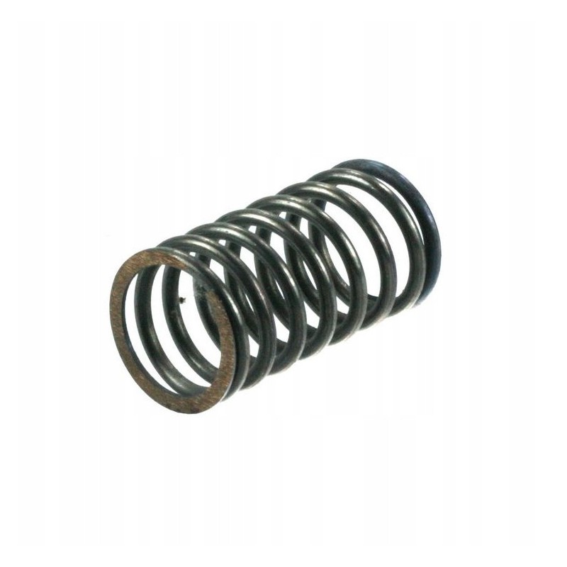 External valve spring ursus c330 50001091