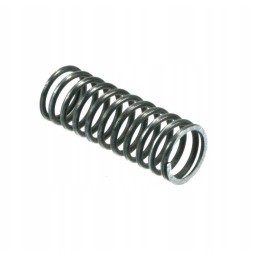 Internal valve spring ursus c330 50001341