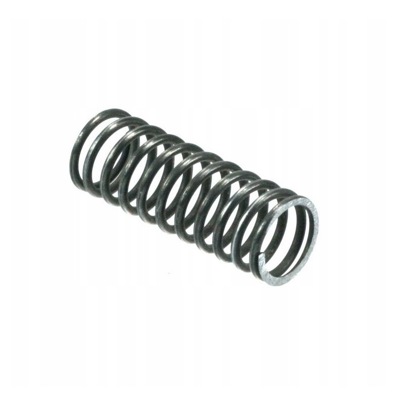 Internal valve spring ursus c330 50001341