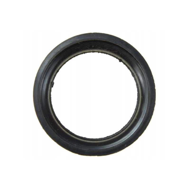 Sealing cover for tires 55113989 force rubber