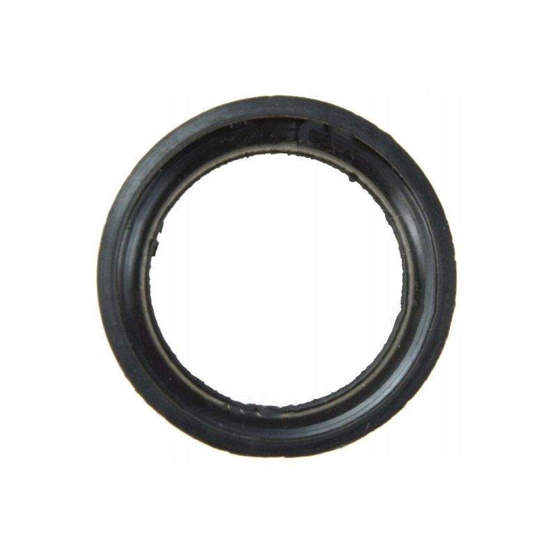 Sealing cover for tires 55113989 force rubber