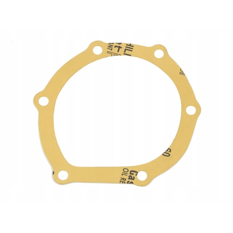 Water pump gasket bizon pl601218