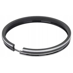 Set of rings 102 zetor 52110096 original