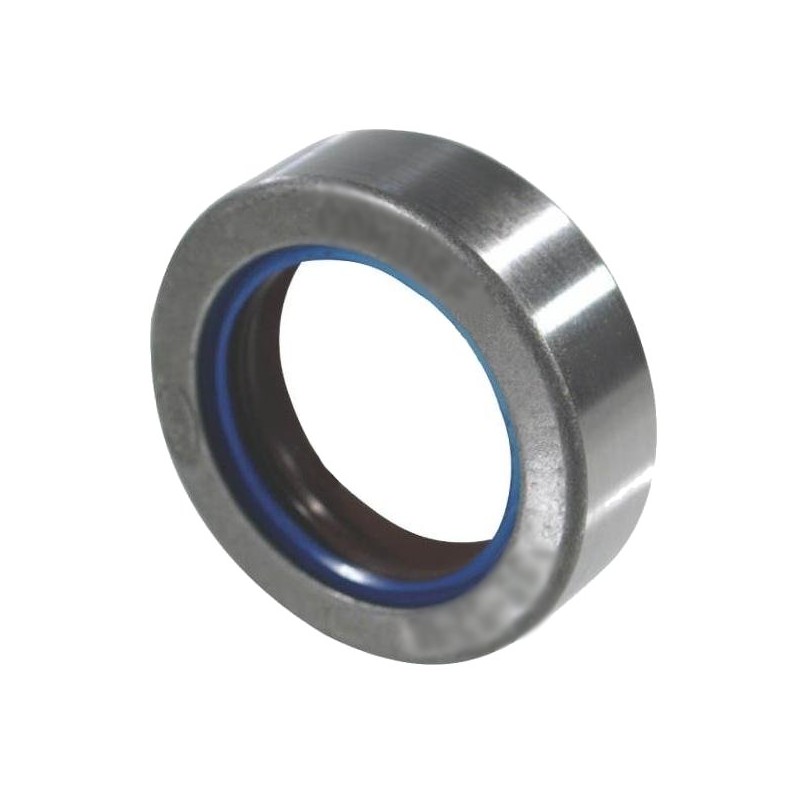 Sealant 55x82x16 5 combi 16738