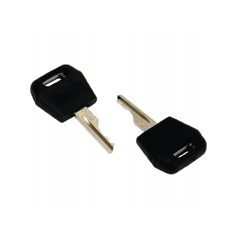 Spare key case 1964831c2