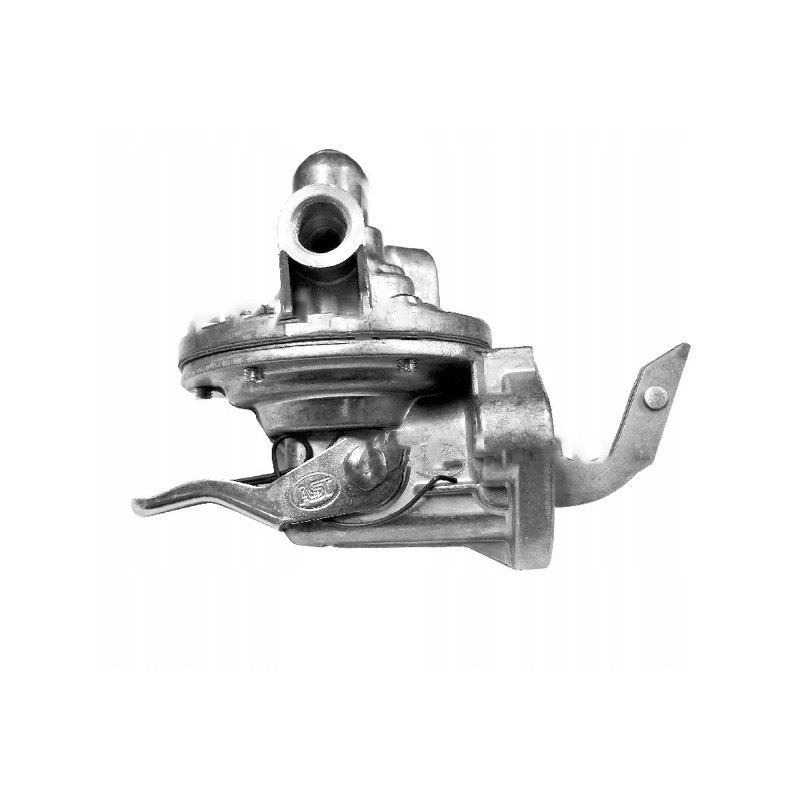 Fuel pump, complete, 2-hole mounting