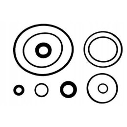 Repair kit for the power steering pump