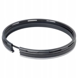 Piston rings, set of 4 rings for C 385