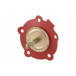 2690pm01100 feed pump diaphragm