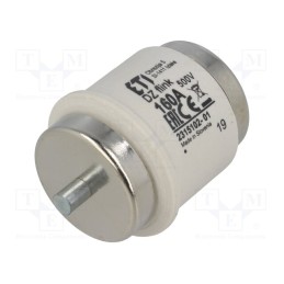 1 pcs x ETI POLAM - 2315102 - Fuse: fuse, quick blow, 160A, 500VAC, 500VDC, ceramic, DV, D