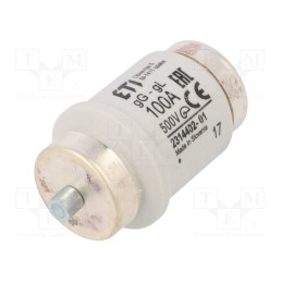 1 pcs x ETI POLAM - 2314402 - Fuse: fuse, gG, 100A, 500VAC, 500VDC, ceramic, DIV, D