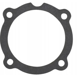 Ursus C 330 injection pump gasket 50004290