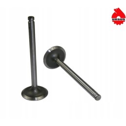Intake valve mf3 original ursus