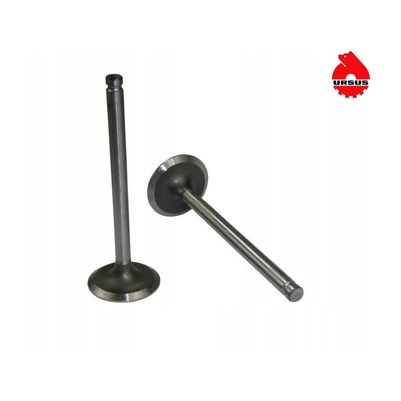 Intake valve mf3 original ursus