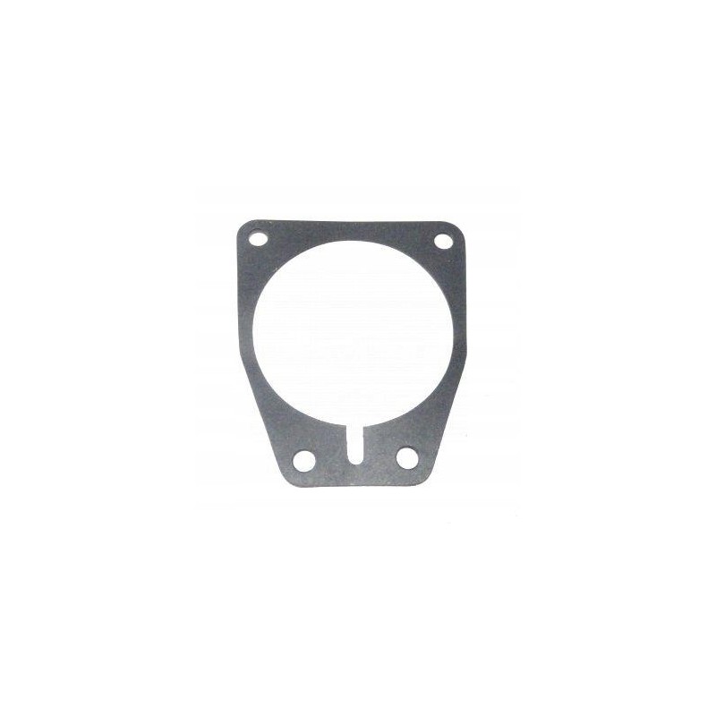 Injection pump gasket t 25 d301111086