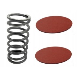 The pressure spring clutches the Ursus C 360 washers