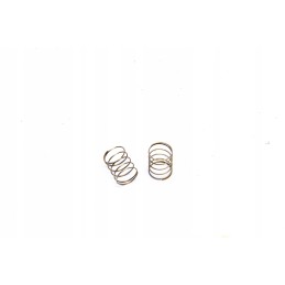 Pump valve spring 4002040110