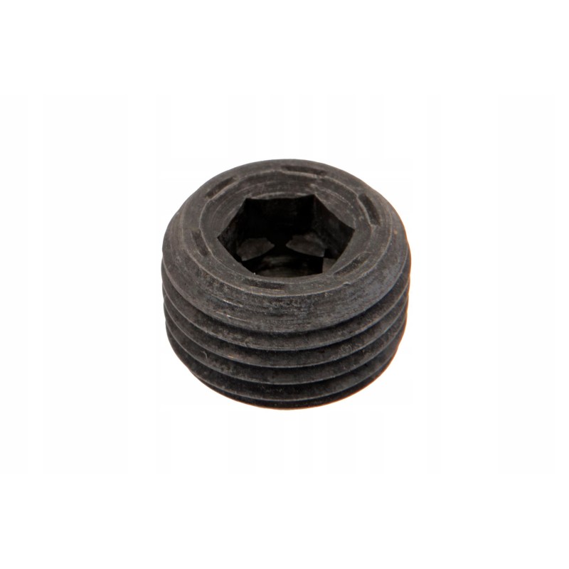 6005027816 screw-in stud