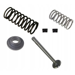 Exhaust valve set Ursus C 360
