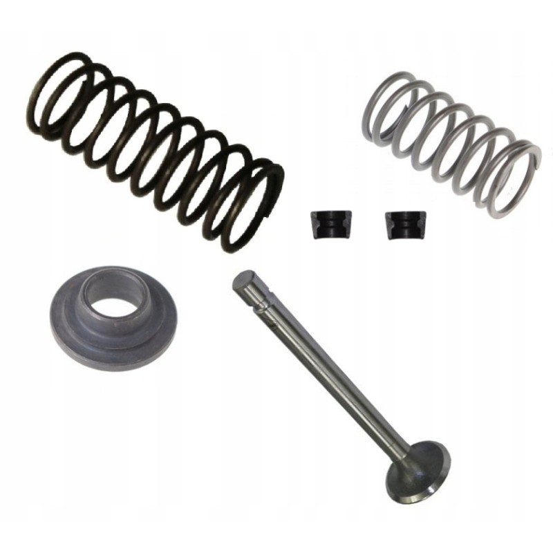 Exhaust valve set Ursus C360