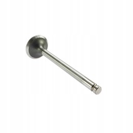 MF3 Andoria Mot exhaust valve, packed in 3 pieces