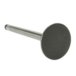 MF3 Andoria Mot exhaust valve, packed in 3 pieces