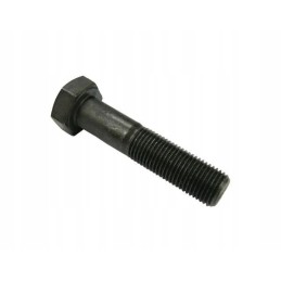 Screw 12x1 25x55 c 385