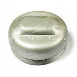 Polish wheel hub cover