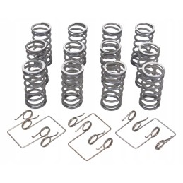 Set of original clutch springs Ursus 50511053