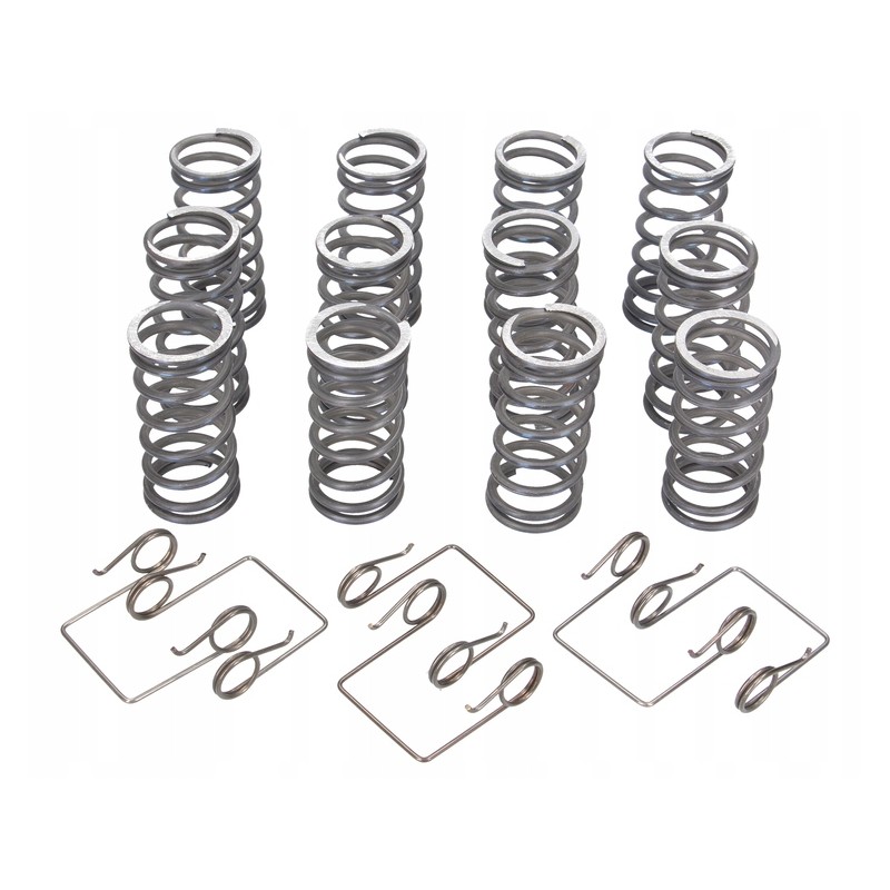 Set of original clutch springs Ursus 50511053