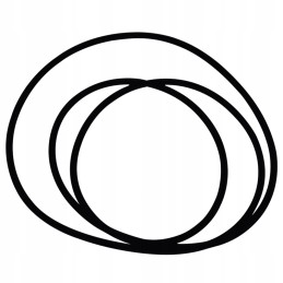 Oring fi 291 69 x 3 53 mm 70815356